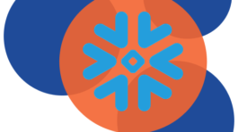 FCE Labs Icon Color - Transperent - Snowflake