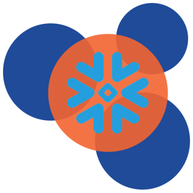 FCE Labs Icon Color - Transperent - Snowflake