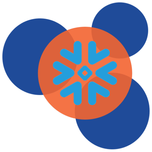 FCE Labs Icon Color - Transperent - Snowflake